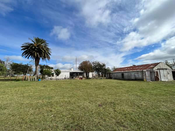 190 has hectáreas. Ganadero Forestal en Durazno Uruguay
